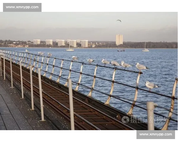 南安普顿换血加速,年轻浪潮能否逆转颓势 南安普顿换血加速,年轻浪潮能否逆转颓势